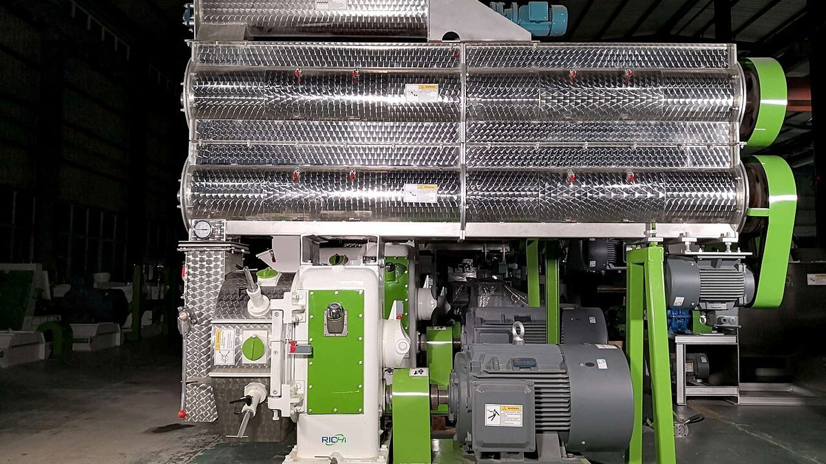 Heavy-duty animal feed conditioning and ring-die pellet mill extruder in a feed mill